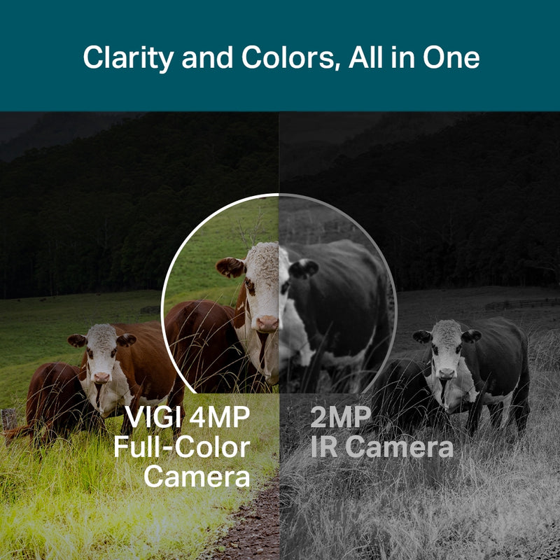 TP-Link VIGI C540-4G(4mm), VIGI 4MP Outdoor Full-Color 4G Pan Tilt Network Camera