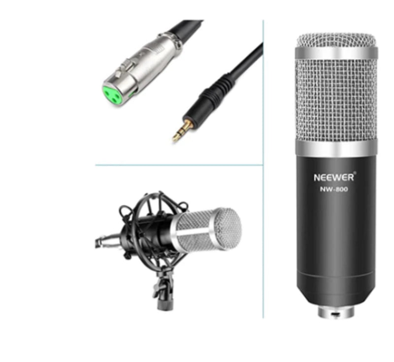 NW-800 Professional Studio Broadcasting & Recording Microphone Set- Silver