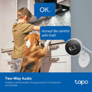 TP-Link Tapo C125, AI Home Security Wi-Fi Camera