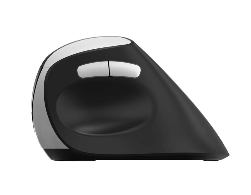 Rapoo EV250 Silent Wireless Ergonomic Mouse