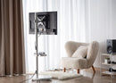 Mobile TV Stand. Spring assisted TV Floor Stand White Fit Most 17"-43"