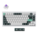 Keychron Q1 HE QMK Knob Shell White Gateron Double-Rail Magnetic Nebula Switch Wireless Custom Keyboard
