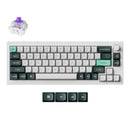 Keychron Q2 HE QMK Wireless Knob Shell White Gateron Double-Rail Magnetic Nebula Switch Keyboard