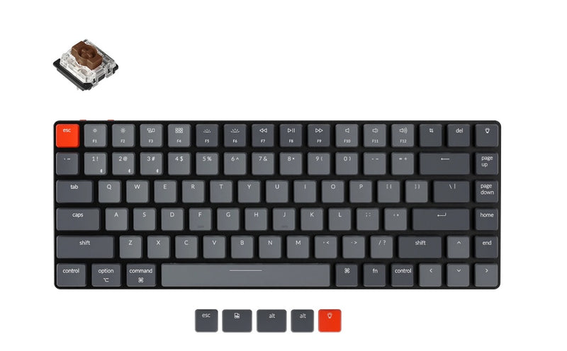 Keychron K4-C3, 96% layout 100 Keys, Brown Switch, RGB, Aluminum Frame, Gateron G Pro, Mechanical Wireless Keyboard