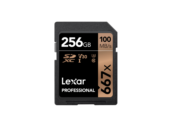 Lexar Professional 667x SDHC/SDXC 256GB